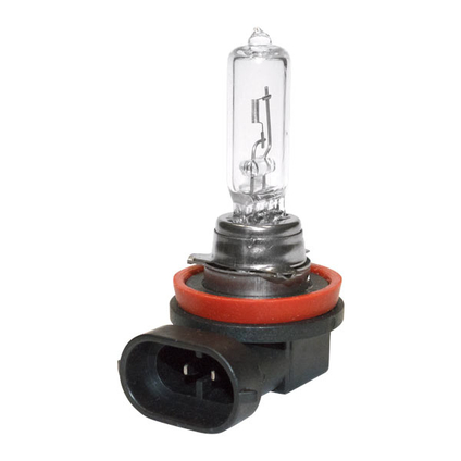 H9 bulb_002256912