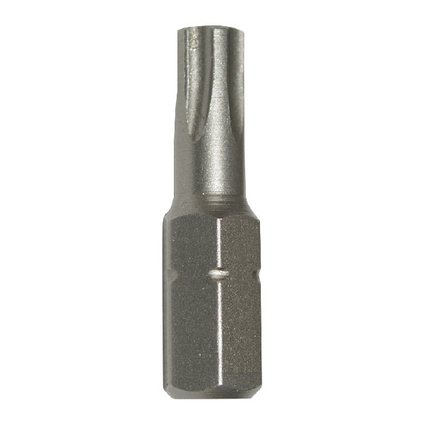 Tamper proof ipr torx bit_01770610