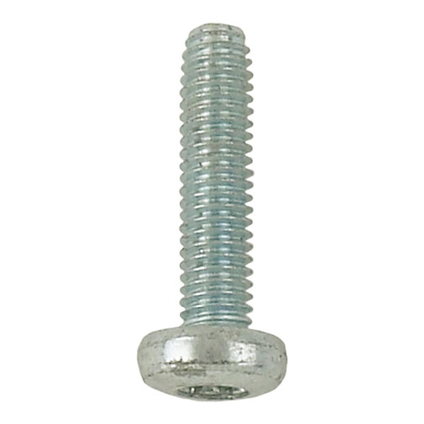 Zinc plated torx self-tapping screw_120610