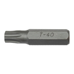 Punta torx 5/16"_012127340