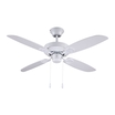 Ventilador Carrion_0384415