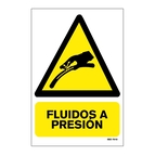 PELIGOR FLUIDOS A PRESION_699071140