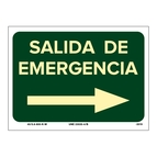 SALIDA EMERGENCIA DERECHA_699073306