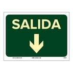 SALIDA ABAJO_699073309