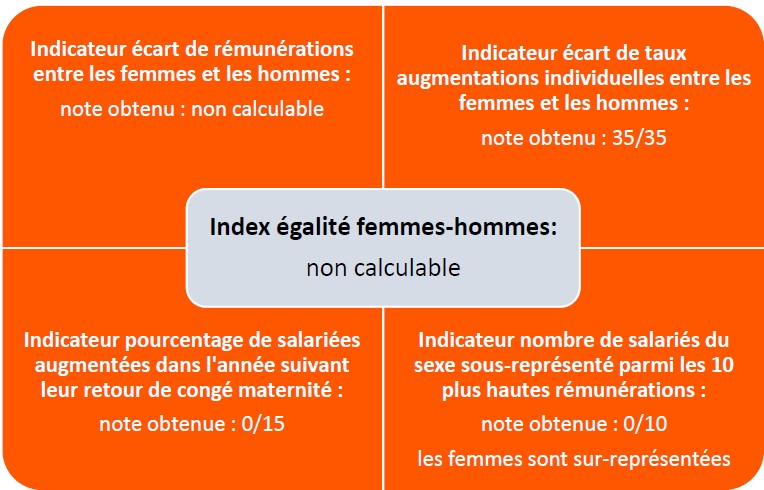 Index égalité homme femme 